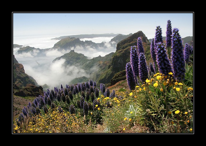 2009_07_01_Madeira