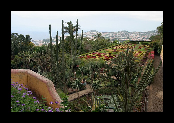 2009_07_06_Madeira